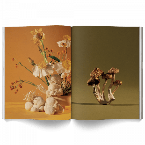 Mushroom People Magazine - Image 6
