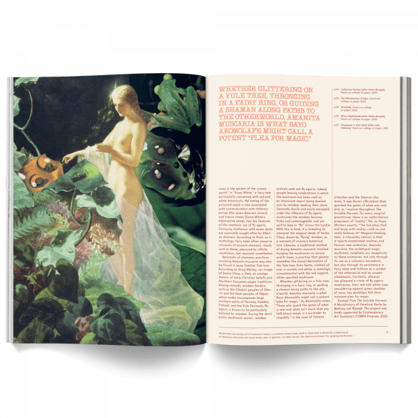 Mushroom People Magazine - Image 4