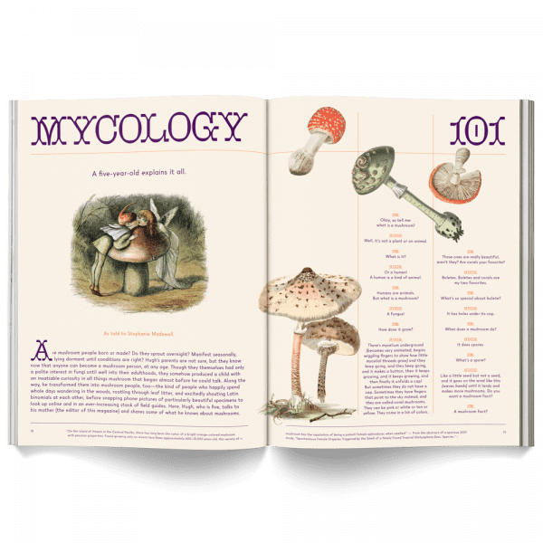 Mushroom People Magazine - Image 7