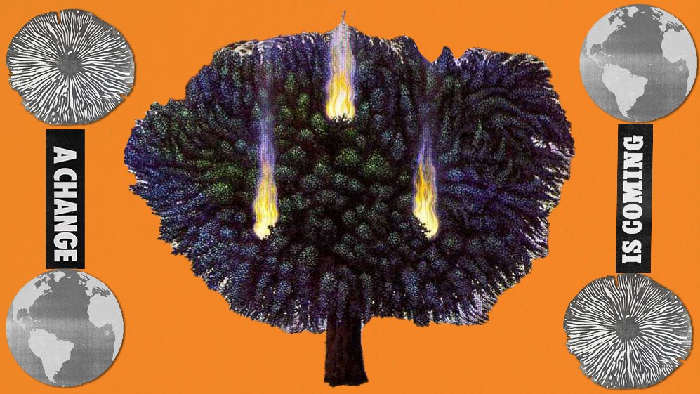 Burning tree with psilocybin spore prints and globes. Suggesting relationship to Psychedelics and climate change.